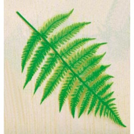 FERN LEAVES FOR DECORATION PACK 10...