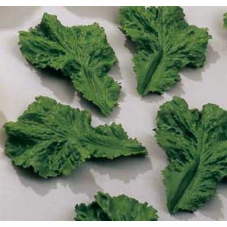 FEUILLES DE SALADE POUR DÉCORATION...