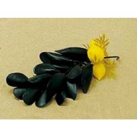 COZZE A GRAPPOLO CON LIMONI...