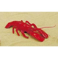 HOMARD POUR LA DECORATION