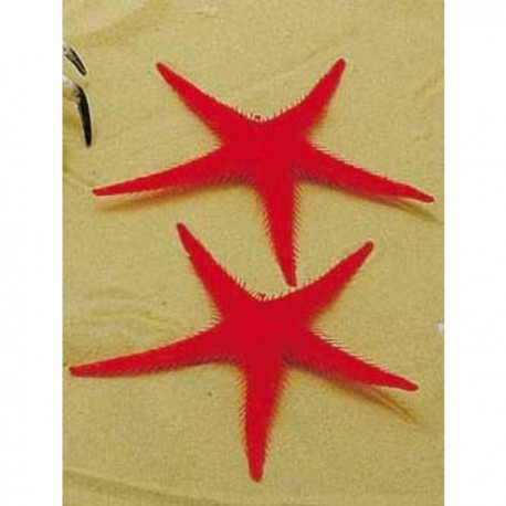 ESTRELLAS DE MAR PARA DECORACION 2 UDS.