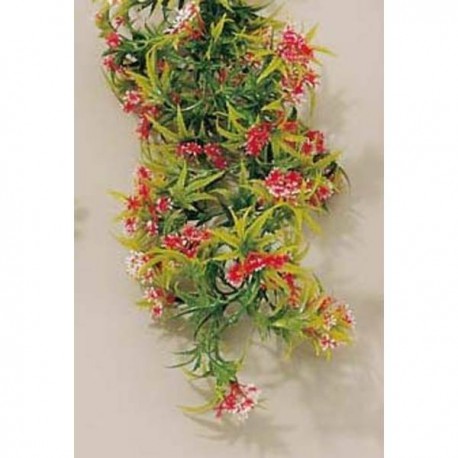 GUIRLANDE PASSION FLEURS POUR...
