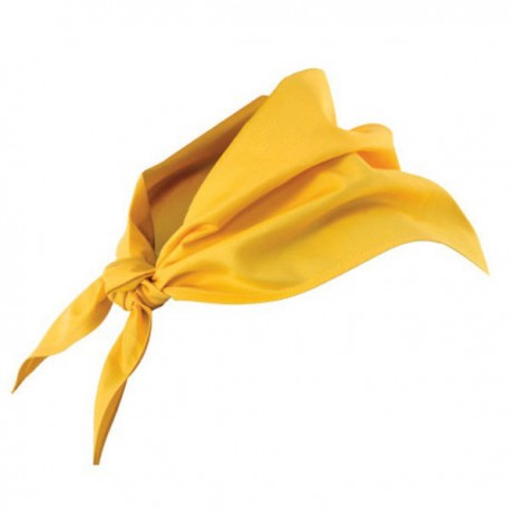 COLORED POCKET SCARF 404003