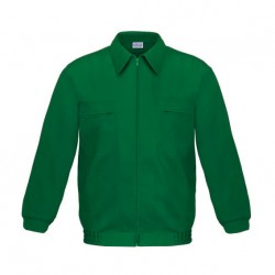 GRÜNE TERGALJACKE VESIN P30