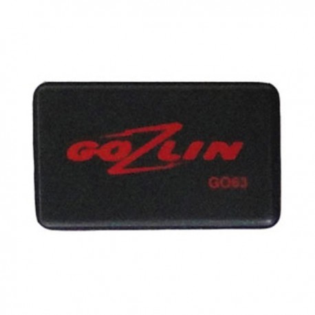 GOZLIN PANEELRECORDERGEHEUGEN