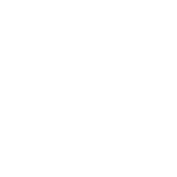 Calzado de seguridad laboral