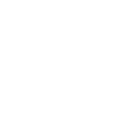 Decoración de vitrinas