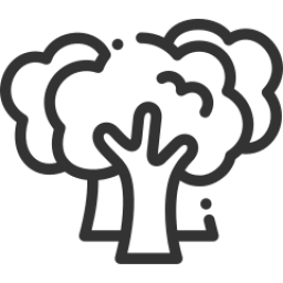 Protección forestal