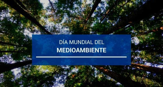 Día Mundial del Medioambiente
