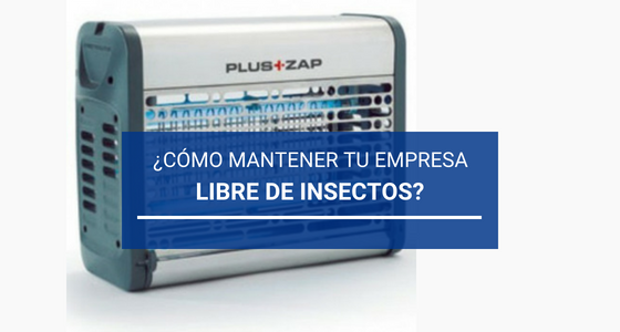 ¿Cómo mantener tu empresa libre de insectos?